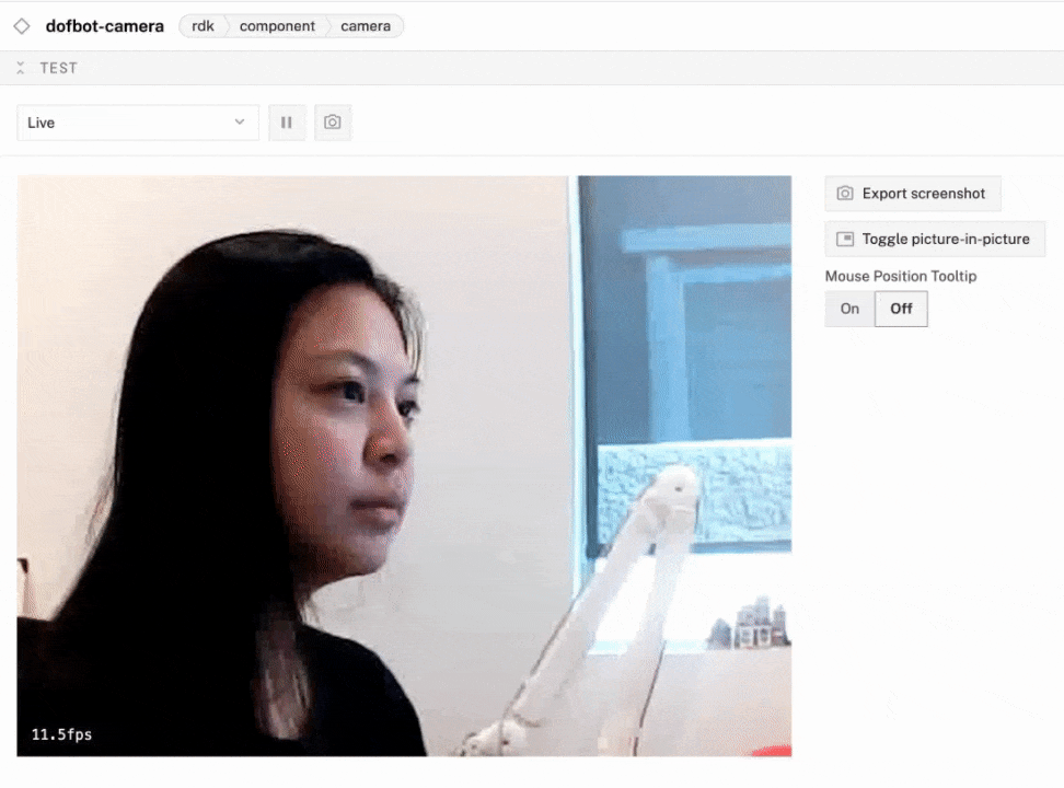 GIF viewing live feed of dofbot camera in test panel