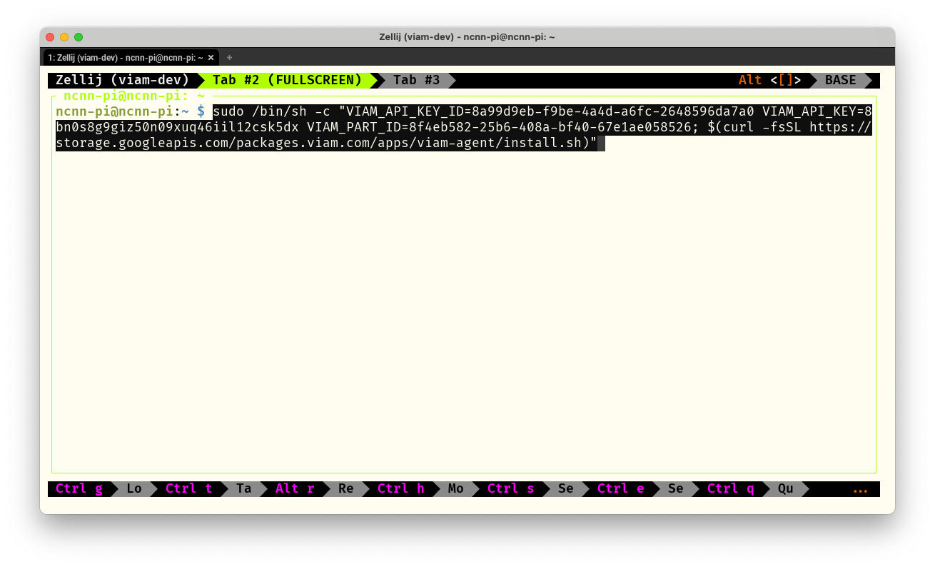 viam agent setup script in SSH session