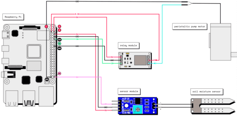 Full Wiring Diagram